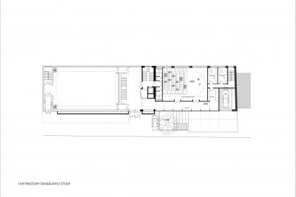 ACADEMY OF PERFORMING ARTS